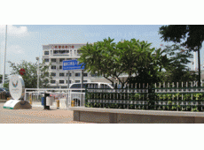 栅（shān）栏（lán）围栏W-1037